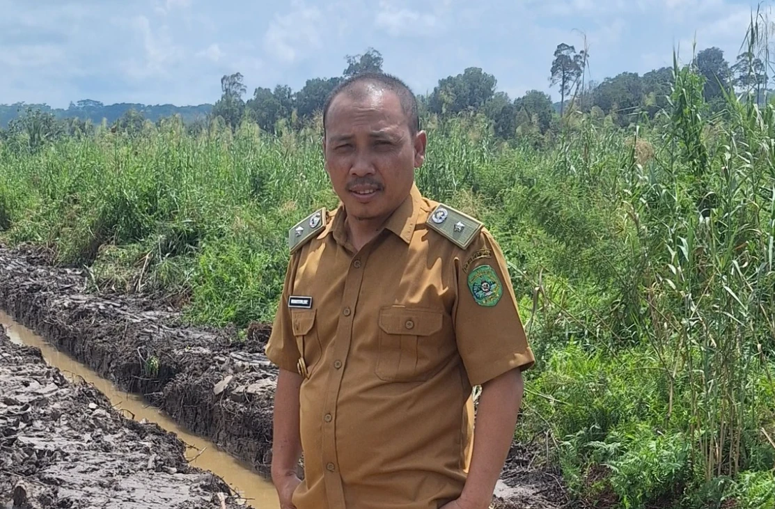 Lahan Bekas Tambang di Loa Raya Disiapkan Jadi Sentra Peternakan Modern